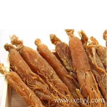 korean red ginseng price